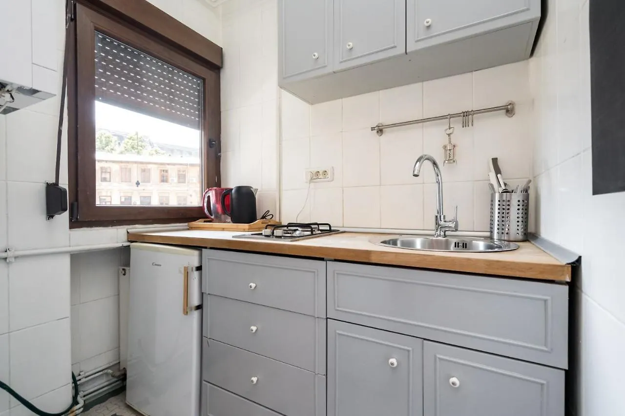 Sleek Comfort - A Blend Of Style And Convenience Bucharest Apartment